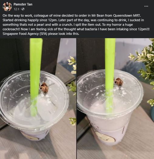 Member Discovered Cockroach In Mr Bean Drink
